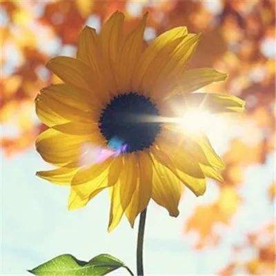 109 回顾与展望：低增速时代的商业趋势